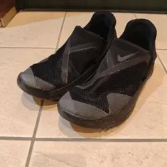 nike ゴー フライイーズ