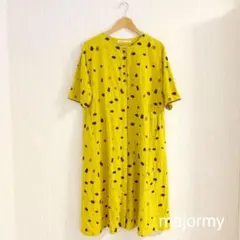 コンジェペイエ アデュートリステス