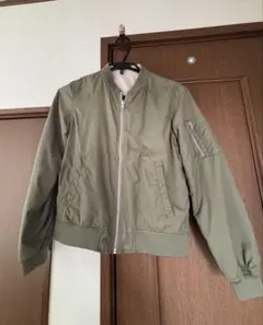 Item thumbnail for item 1b6df045-e499-419b-9ed3-65636b63bde6