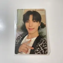 SEVENTEEN Attacca carat盤 ディノ トレカ