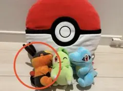 【最終価格】ポケモン 1番くじ A賞 ポカブ ぬいぐるみ