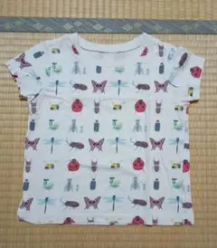 Insect Collection 昆虫柄 Tシャツ M(100-110cm)