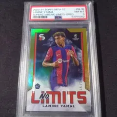 Item thumbnail for item d32437ee-448e-411e-91fc-ab0cacf99d81