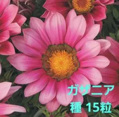 Ayaka様 リクエスト 3点 まとめ商品
