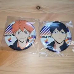 ハイキュー anique 限定 非売品 蓄光　缶バッジセット　日向　影山飛雄