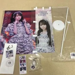 =LOVE イコラブ 5周年 ラッフル 直筆 サイン 1等 ミニのぼり 野口衣織 LOVE イコラブ 5周年 ラッフル 直筆 サイン 1等 ミニのぼり 野口