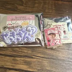 福岡ソフトバンクホークス 若鷹ガチャ キーホルダー 2点セット