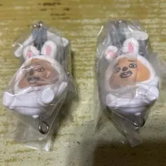 SKZOO スキズ　つまんでつなげてマスコット　クオッカ　２点セット