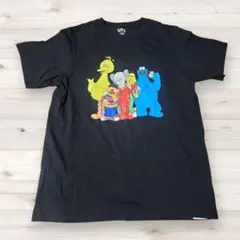 UNIQLO✖️カウズ　tシャツ　Lサイズ　セサミストリート