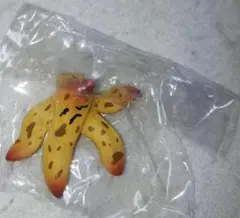 Item thumbnail for item 18c1795b-c65b-4430-8d80-ded84adb8560