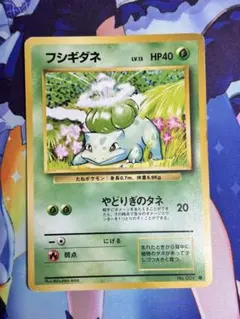 ポケモンカード フシギダネ やどりぎのタネ 旧裏 ⑥