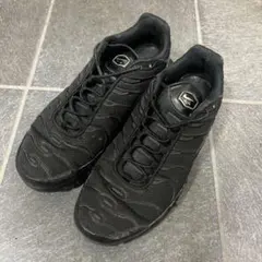 nike air max plus エアマックスプラス