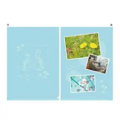 佐猫ちゃん様 リクエスト 2点 まとめ商品