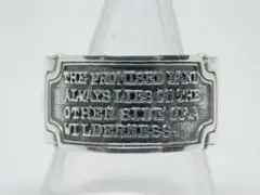 Item thumbnail for item 0c9d466f-9de2-46e1-aaf7-c0e932d2d009