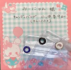 みーにゃん様 専用 キャンディバッグ