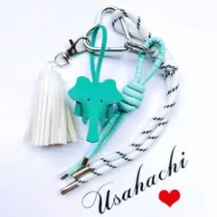 じゃらじゃらキーホルダー　バッグチャーム　キーチャーム　パラコード　象　46B