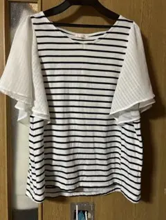 スタディオクラップ　ストライプ フリル袖 半袖トップスM