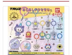 TRUZ めじるしアクセサリー ～キラキラスペシャル 10種コンプリート