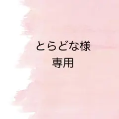 とらどな様＊専用　ベレー帽