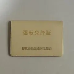 Item thumbnail for item e7a8dfb0-61ed-452d-90a9-6a6575f2cf61