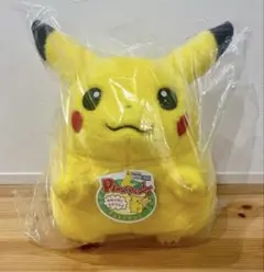 ポケットモンスター ポケモン30周年記念　おかえり！ピカチュウ1/1