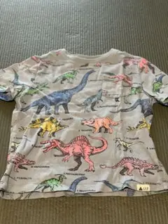 Item thumbnail for item b46ded38-8380-4140-8186-c4239fa15ea4