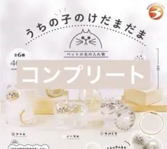 早い者勝ち！うちの子のけだまだま　ガチャ　全6種セットK02