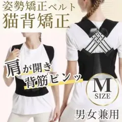 猫背矯正 姿勢サポーター 背筋ベルト 男女兼用 肩甲骨サポート 簡単 姿勢補正