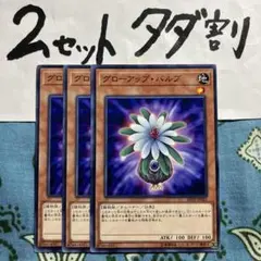アステロイド様 リクエスト 2点 まとめ商品