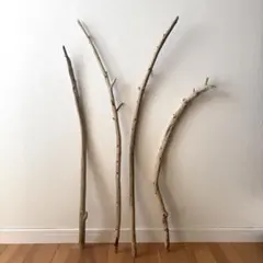 Item thumbnail for item d02b8c65-e7d9-409b-ae8c-364c81044b34