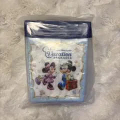 東京ディズニーリゾート バケーションパッケージ ポップコーンケース