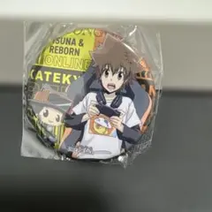 家庭教師ヒットマンREBORN! 缶バッジ 20点 沢田綱吉 沢田綱吉 アニメ20周年記念 家庭教師ヒットマンREBORN! 缶バッジ