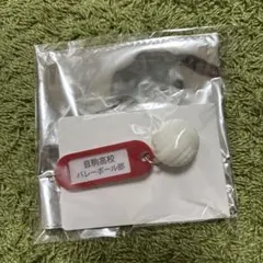 ハイキュー トレーニング高校名付き鍵チャームキーホルダー 音駒高校