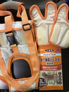 Item thumbnail for item 1b1904cc-503c-4750-a7c6-2d8648865aed