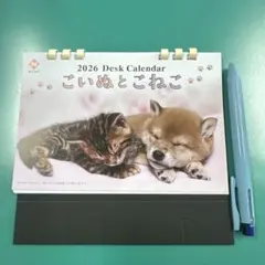 Item thumbnail for item aa12cabf-864a-47ac-bfb8-791578414252