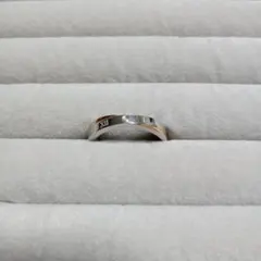 Item thumbnail for item e41d49bd-c427-479a-89ea-beba4f0eefb6