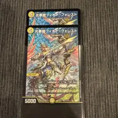 光夢龍フィオナ・フォレスト フィオナフォレスト 2枚セット