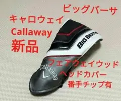 Item thumbnail for item ab33c723-0bf9-4e20-9bf0-998e514bdbac