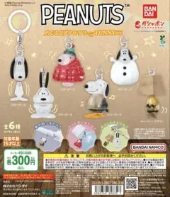 PEANUTS めじるしアクセサリー　FUNNY ver. スヌーピーD
