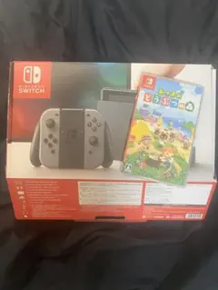 Nintendo Switch グレー　どうぶつのもり　あつ森