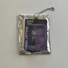 超特急 ブリスターキーホルダー カイ