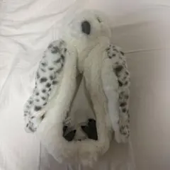 Item thumbnail for item 1781df65-d824-4279-ac8c-7542c08bfb0e