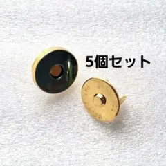 マグネットホック 16mm ５個セット TOWANNY