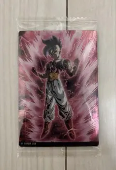 イタジャガ　ドラゴンボール スーパーウーブ 9-19R 未開封新品