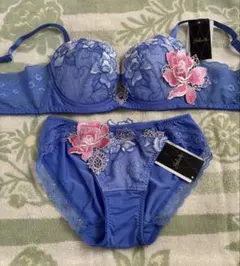 サルート76グループ 店舗限定Rich Veil Bra D70 & ショーツMのサムネイル