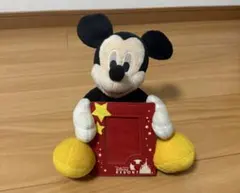 ディズニーリゾート ミッキーマウス ぬいぐるみ　写真入れ付！