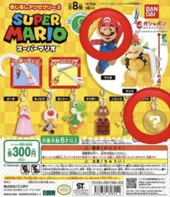スーパーマリオ めじるしアクセサリー2 点セット