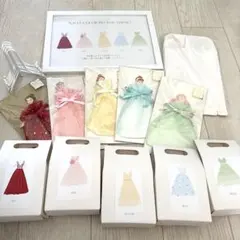 ウェルカムスペース　ドレス当てクイズ　ディズニー　プリンセス　カード　5点セット