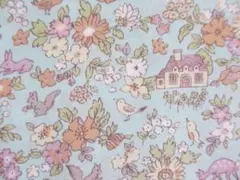 Item thumbnail for item 2369d025-5bbd-40d9-bddf-057e770a6fd5