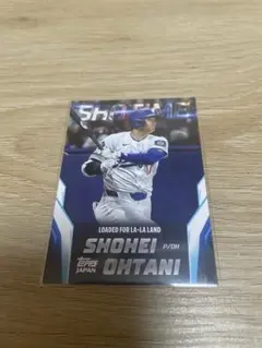 Item thumbnail for item 2366b376-a80a-4666-afbf-86b555ced65c